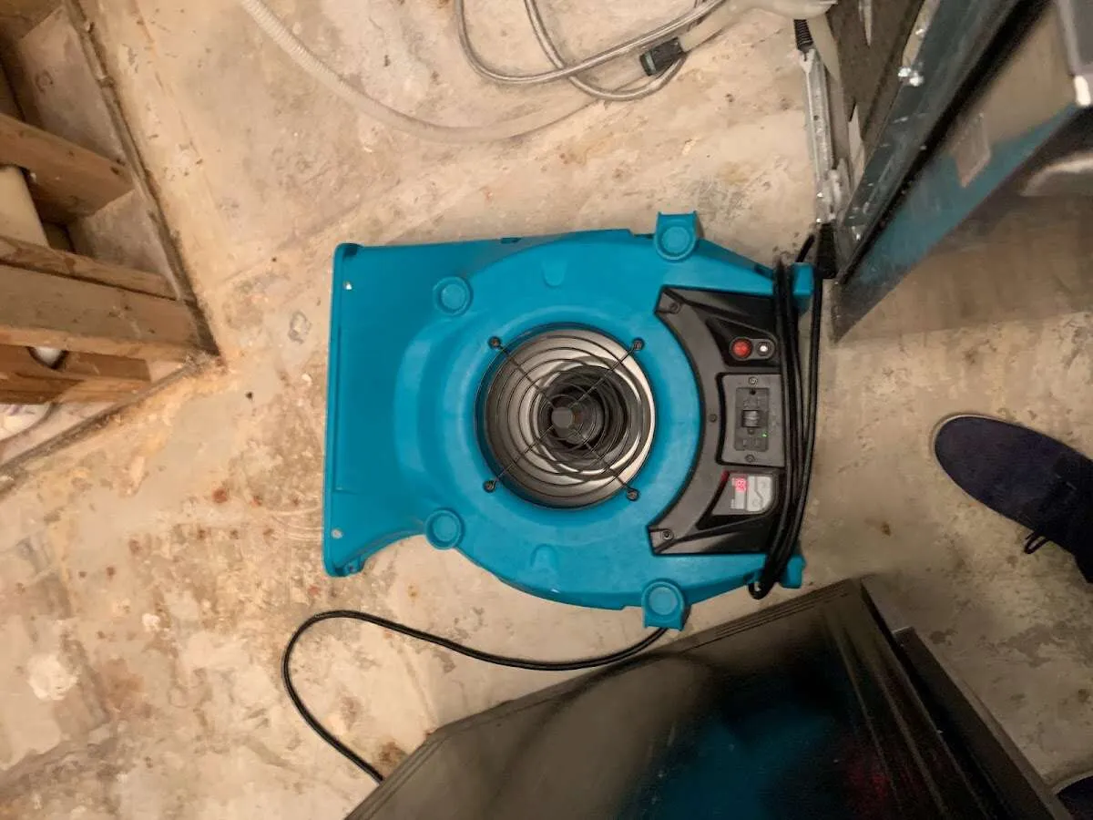 Air mover drying equipment for Mold Remediation & Removal in Acton