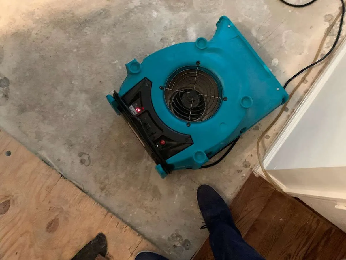 Air mover drying subfloor during Commercial Water Damage Restoration in Acton